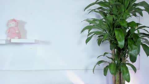 Melissa online show from 01-10-25, 11:39