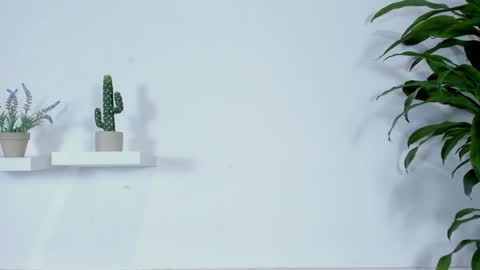 Melissa online show from 01-28-25, 12:26