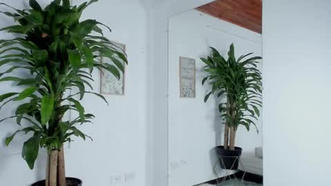 Melissa online show from 02-11-25, 05:47