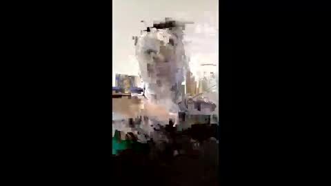 melissaknowles46 online show from 02-01-26, 12:59