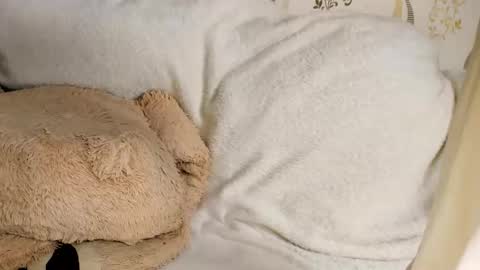 MelMooon online show from 03-11-26, 08:59