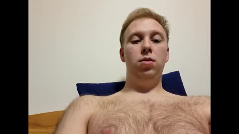 meow732 online show from 10-24-25, 12:19