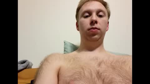 meow732 online show from 11-20-25, 02:01