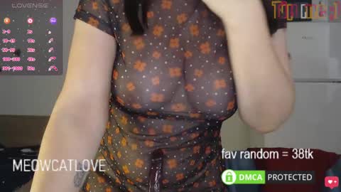 meowcatlove online show from 01-21-25, 08:32