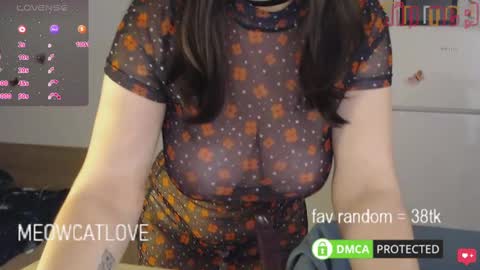 meowcatlove online show from 01-23-25, 09:18