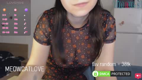 meowcatlove online show from 01-26-25, 08:02