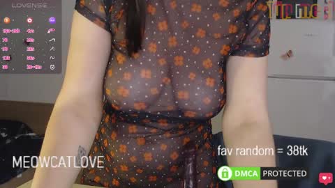 meowcatlove online show from 01-26-25, 11:08