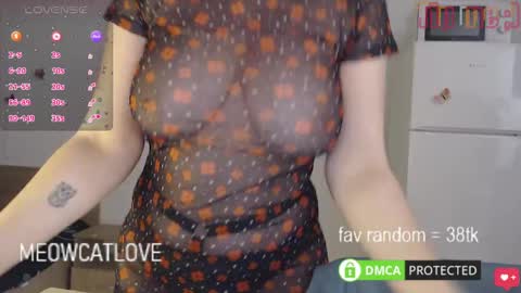 meowcatlove online show from 01-27-25, 06:31