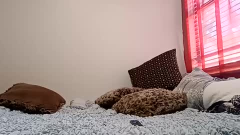 meowzers777 online show from 12-15-24, 06:48