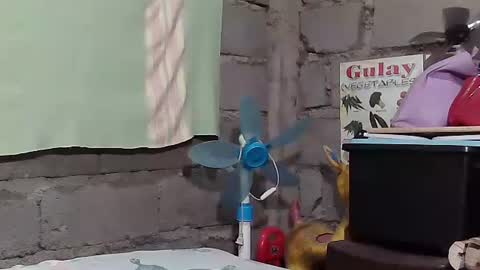 merietiny online show from 01-22-25, 05:59