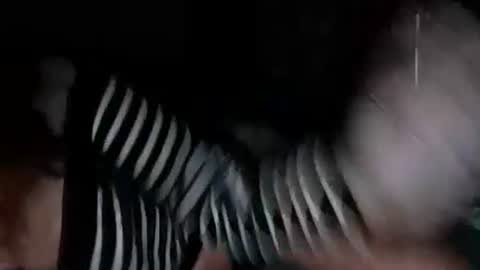 mermaidonland25 online show from 10-05-25, 11:35