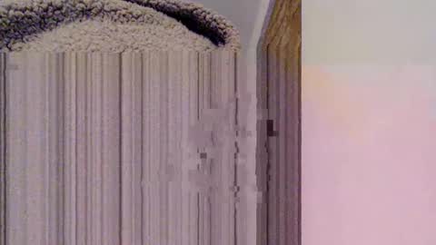 Snapshot of mesmerize88 chatting on 02-15-25, 10:52 Mauro online show from 02-15-25, 10:52