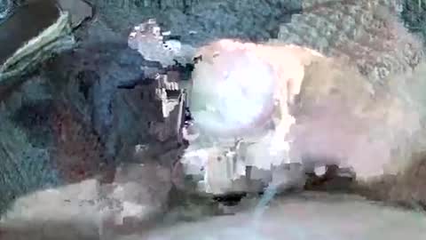 mexianthehawk online show from 11-03-25, 11:22