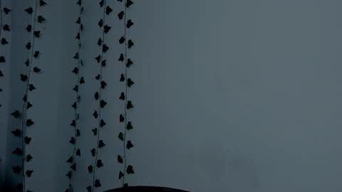 MIA online show from 09-23-25, 09:18