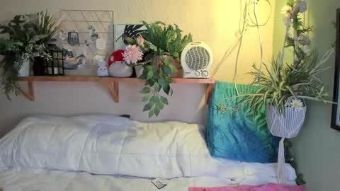 Miaa online show from 12-20-24, 07:12