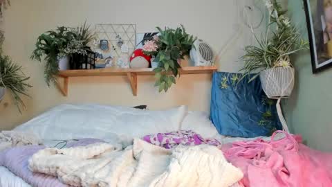 Miaa online show from 12-20-24, 10:16