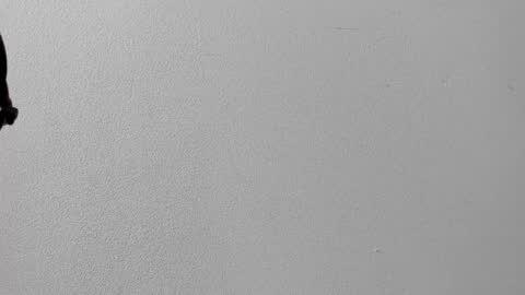 mia online show from 10-12-25, 12:37