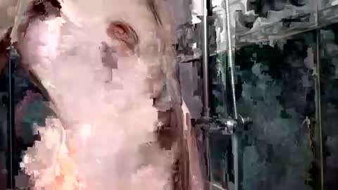 mickavis1975 online show from 01-01-25, 05:55