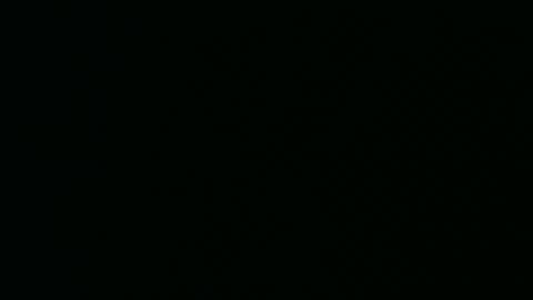 micwalrus online show from 03-05-26, 04:36