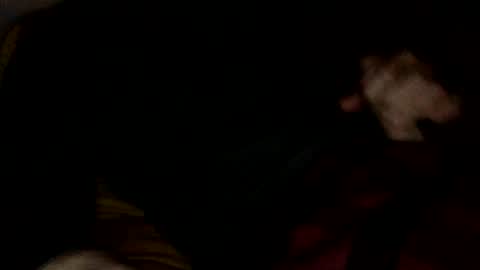 midiin online show from 12-10-24, 05:39