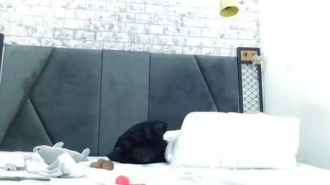 mila_adamss online show from 01-16-25, 05:01