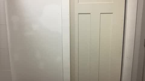 HungCollege online show from 12-20-25, 04:19