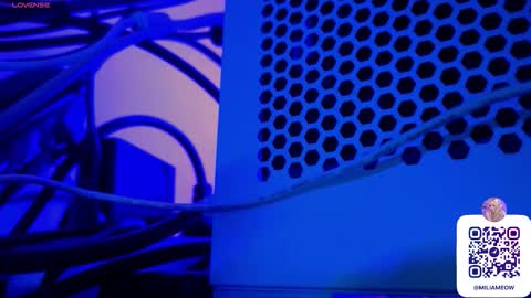 Milia online show from 10-08-25, 12:19