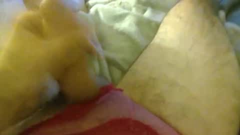 Snapshot of milkncookies8 chatting on 10-03-25, 05:59 milkncookies8 online show from 10-03-25, 05:59