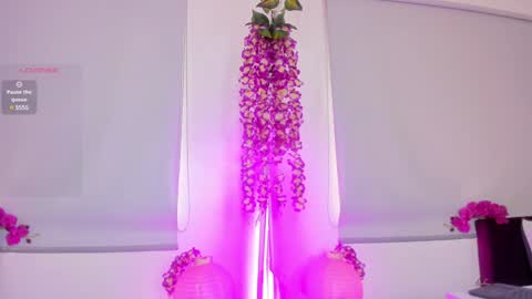 Snapshot of milu_beluci chatting on 01-30-25, 03:08  Milu Belucci  online show from 01-30-25, 03:08