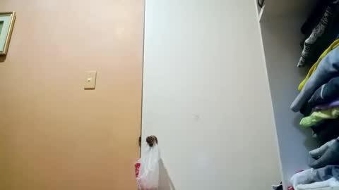 Snapshot of mirana_xxx chatting on 10-30-25, 10:43 Im Ping online show from 10-30-25, 10:43