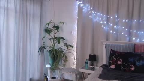 Snapshot of miss_eva_xxx chatting on 12-23-24, 03:29 Miss EVA  Email misseva123xxx online show from 12-23-24, 03:29