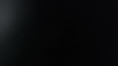 Snapshot of miss_lina_dream chatting on 12-13-24, 11:23 Miss Lina online show from 12-13-24, 11:23