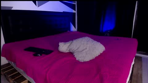 Snapshot of missloise chatting on 01-29-25, 12:56 Miss Loise online show from 01-29-25, 12:56