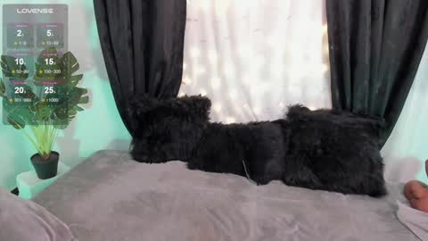 Alejandra  online show from 12-06-24, 01:44