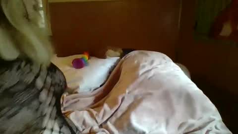 Snapshot of mitchellebunny7 chatting on 02-05-25, 06:48 MichelleBunny7 online show from 02-05-25, 06:48