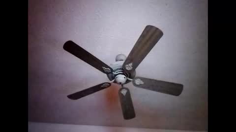 Snapshot of mitchnails69 chatting on 12-15-24, 07:24 BobbyMitchGa online show from 12-15-24, 07:24