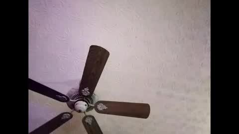 Snapshot of mitchnails69 chatting on 01-04-25, 06:41 BobbyMitchGa online show from 01-04-25, 06:41