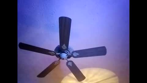 Snapshot of mitchnails69 chatting on 01-20-25, 05:59 BobbyMitchGa online show from 01-20-25, 05:59