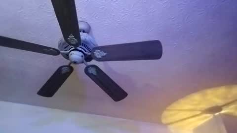 Snapshot of mitchnails69 chatting on 02-12-25, 12:44 BobbyMitchGa online show from 02-12-25, 12:44