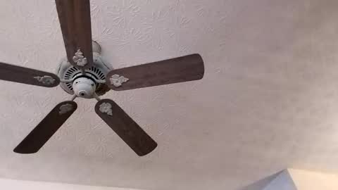 Snapshot of mitchnails69 chatting on 02-23-25, 03:40 BobbyMitchGa online show from 02-23-25, 03:40