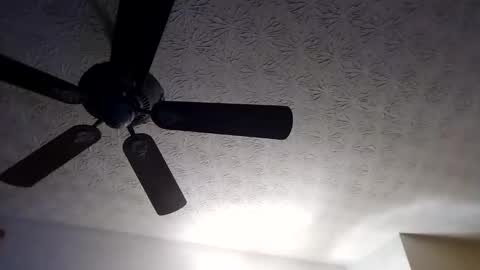 Snapshot of mitchnails69 chatting on 09-18-25, 10:28 BobbyMitchGa online show from 09-18-25, 10:28