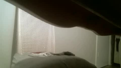 Snapshot of mmrstp chatting on 01-02-25, 11:41 mmrstp online show from 01-02-25, 11:41