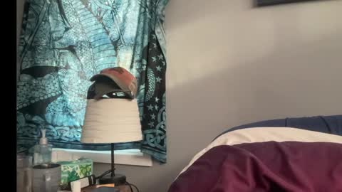 MNTuiLa online show from 01-13-25, 03:15