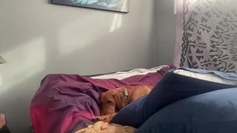 MNTuiLa online show from 02-17-25, 03:31