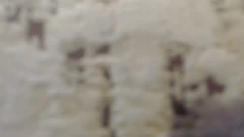 Mohito200711 online show from 09-12-25, 06:35