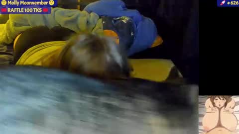 molly_moons online show from 11-17-25, 07:03