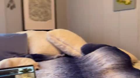 Mia  online show from 01-06-25, 02:58