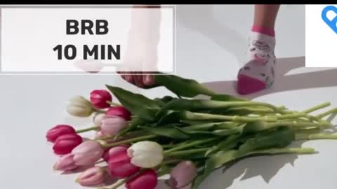 Mommy online show from 11-05-25, 02:11