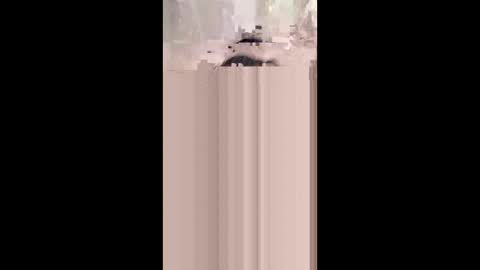 Snapshot of monicahmuchira49 chatting on 01-08-26, 12:29 shirybeb online show from 01-08-26, 12:29