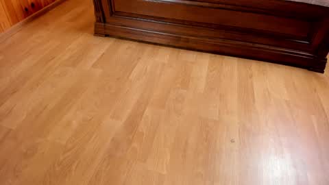 Monika NO c2c ever. PVT free Naked Fingering pussy doggy or standing BJ HJ Feet Fashion. PVT extra Toy control 400tk. online show from 01-23-25, 07:29